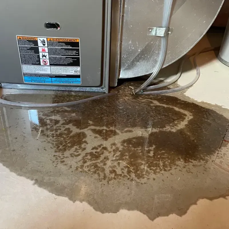 Appliance Leak Cleanup in North Oaks, MN